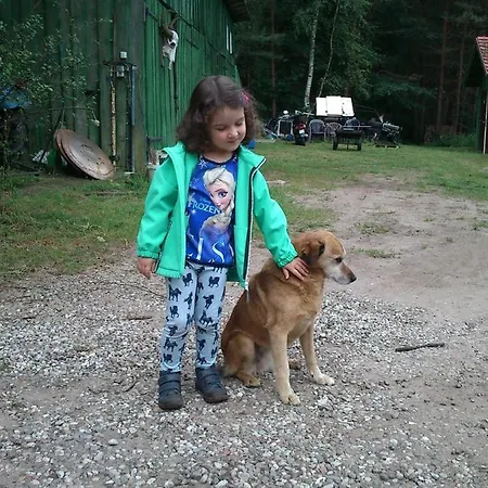 アパート Olchowy Mlyn *