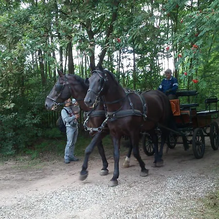 Olchowy Mlyn * Międzychód