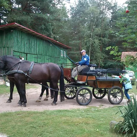 Olchowy Mlyn アパート *