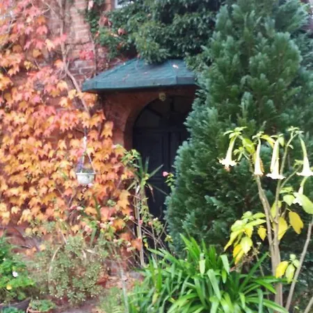 Olchowy Mlyn Międzychód