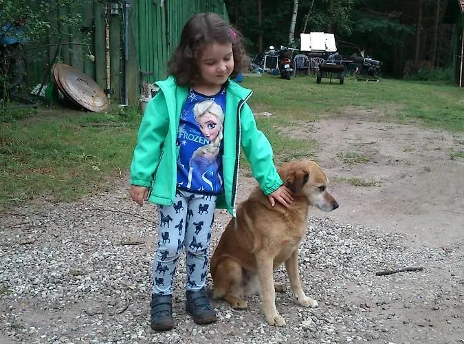 Apartment Olchowy Mlyn *