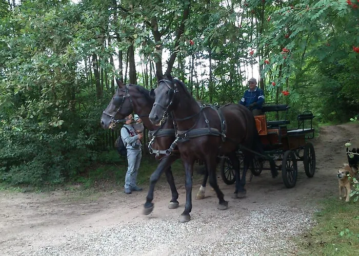 Olchowy Mlyn * Miedzychod