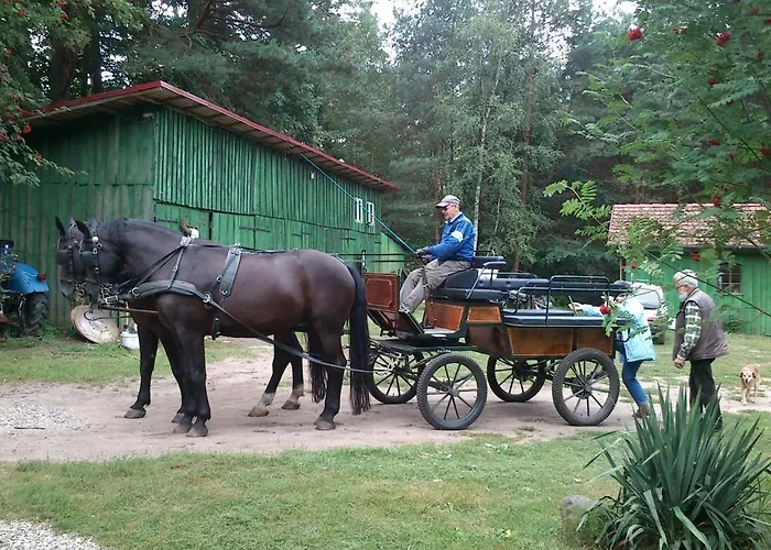 Olchowy Mlyn Apartment *