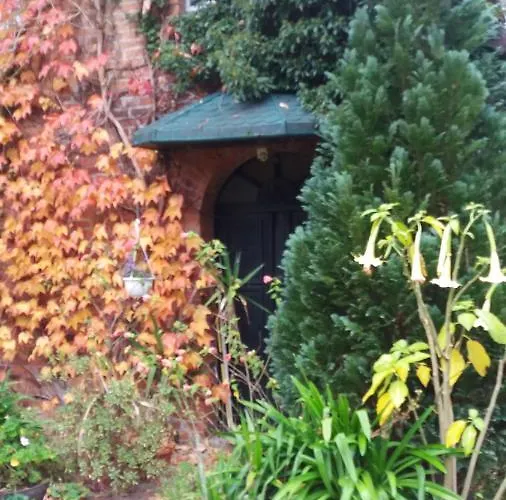 Olchowy Mlyn Miedzychod