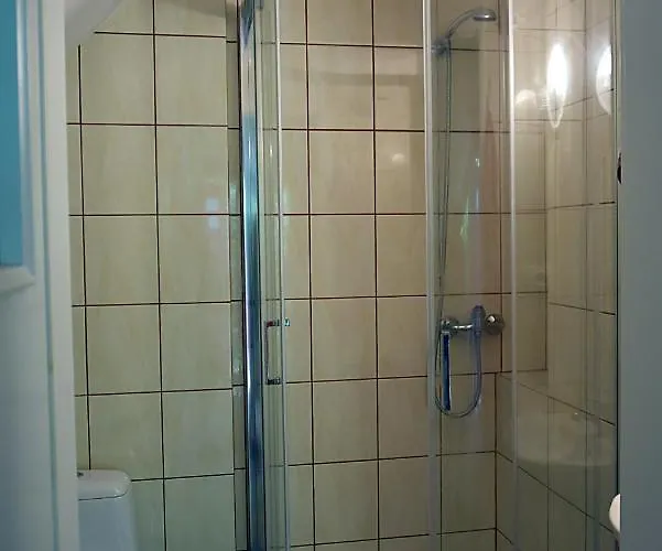 Olchowy Mlyn Międzychód